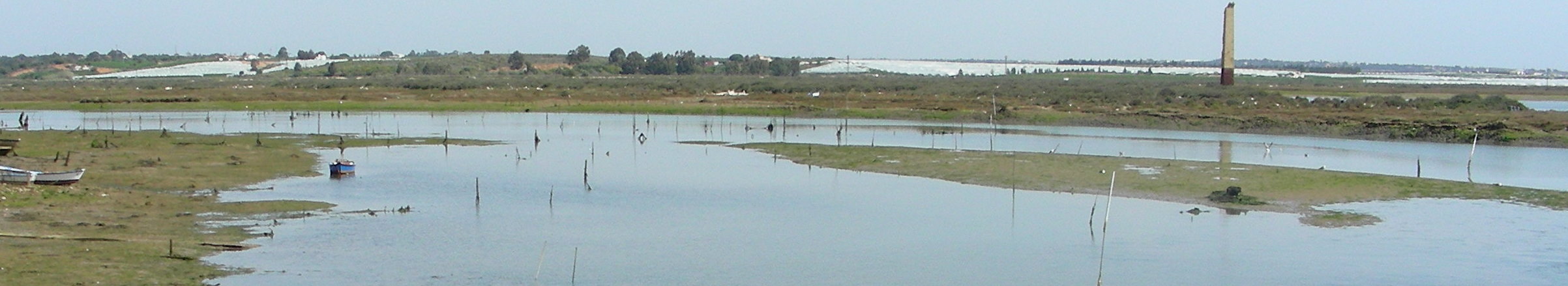 isla_cristina_marismas-cano_del_puntal