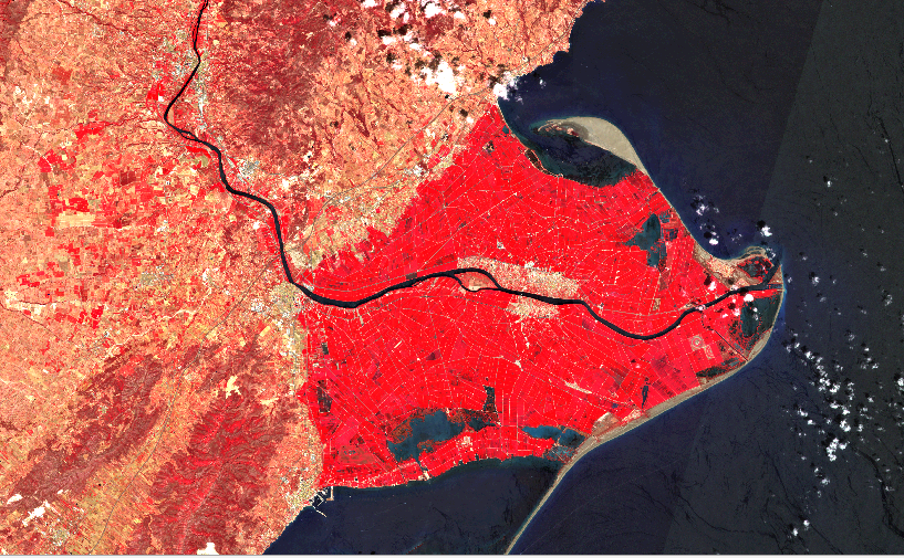 Imágen en color infrarrojo del satélite Sentinel-2 de Copernicus