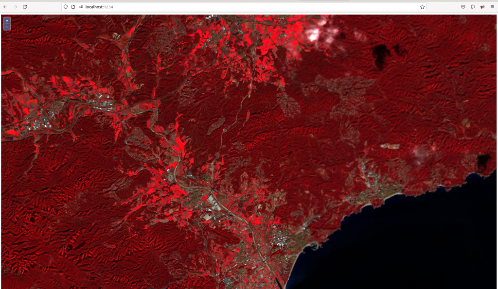 Visualización de las imágenes de satélite en falso color