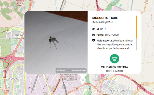Web mapping Mosquito 2